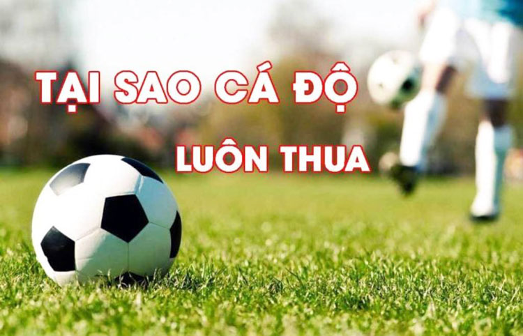 tại sao cá độ luôn thua