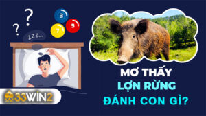 Mơ Thấy Heo Rừng Đánh Con Gì