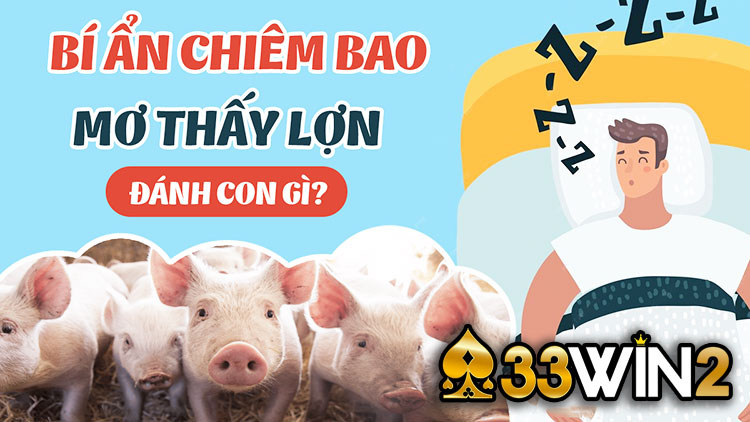 mơ thấy lợn đánh con gì