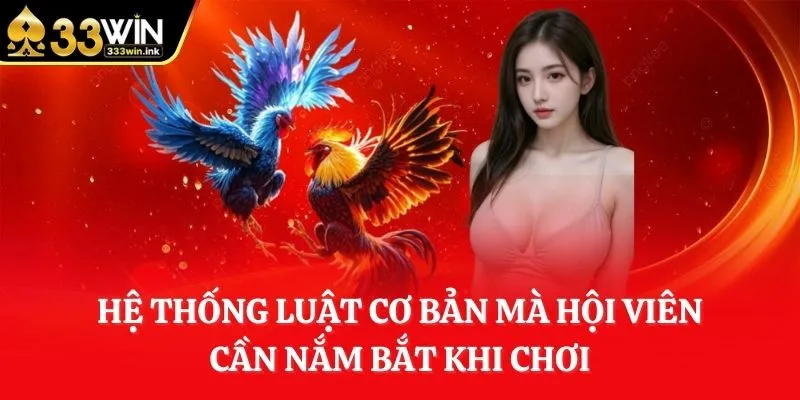 he-thong-luat-co-ban-ma-hoi-vien-can-nam-bat-khi-choi