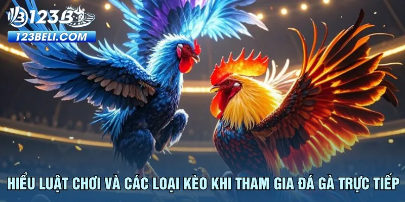 hieu-luat-choi-va-cac-loai-keo-khi-tham-gia-da-ga-truc-tiep