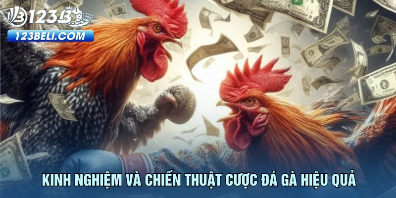 kinh-nghiem-va-chien-thuat-cuoc-da-ga-hieu-qua