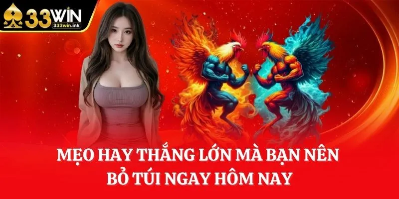 meo-hay-thang-lon-ma-ban-nen-bo-tui-ngay-hom-nay