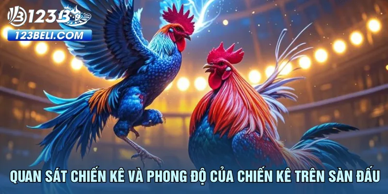 quan-sat-chien-ke-va-phong-do-cua-chien-ke-tren-san-dau