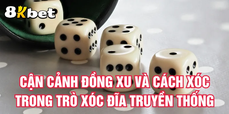 can-canh-dong-xu-va-cach-xoc-trong-tro-xoc-dia-truyen-thong
